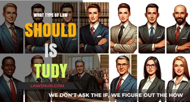 Choosing Your Legal Path: Which Law Specialization Fits You Best?