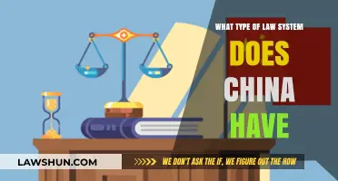 Understanding China's Unique Legal Framework: A Comprehensive Overview