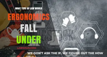 Understanding Ergonomics: Which Legal Framework Governs Workplace Safety Standards?