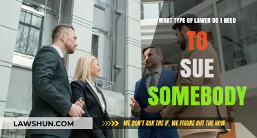 Choosing the Right Lawyer to Sue: A Comprehensive Guide