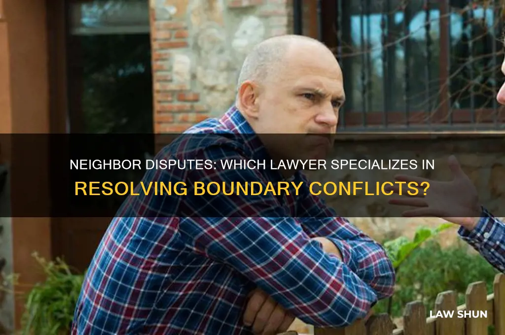 what type of lawer handles disputes between neighbors