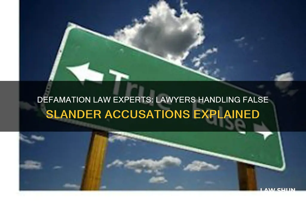 what type of lawer handles slander fasley accused