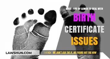Navigating Birth Certificate Issues: Choosing the Right Lawyer for Assistance