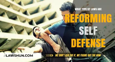 Reforming Self-Defense Laws: Key Legal Changes and Their Impact