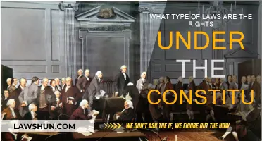 Constitution Rights: Understanding Legal Frameworks