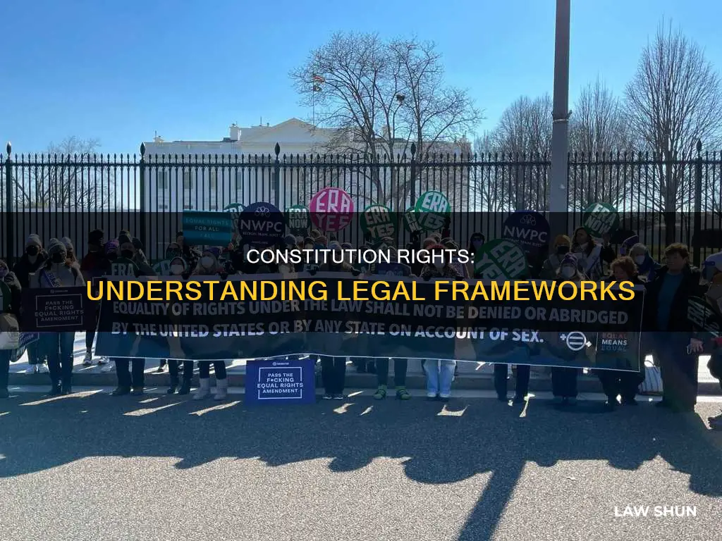 what type of laws are the rights under the constitution