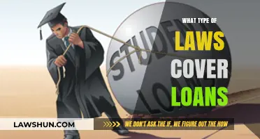 Understanding Loan Laws: Types, Regulations, and Legal Protections Explained