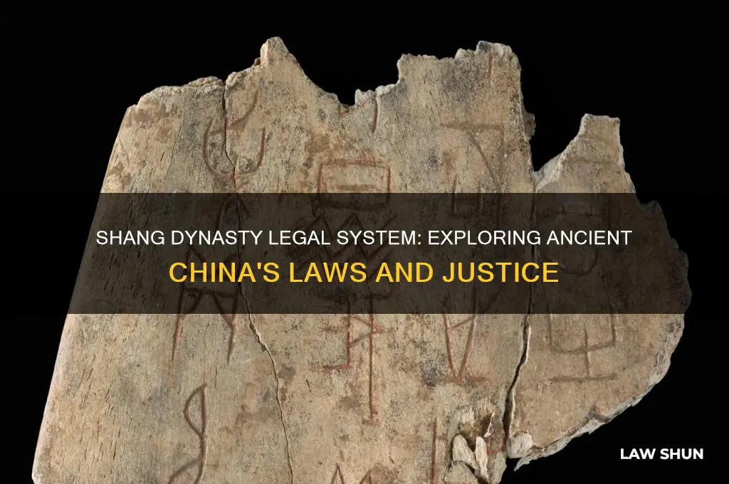 what type of laws did the shang dynasty have