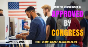 Understanding the Types of Laws Requiring Congressional Approval