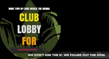 Sierra Club Advocacy: Environmental Laws and Policies They Champion