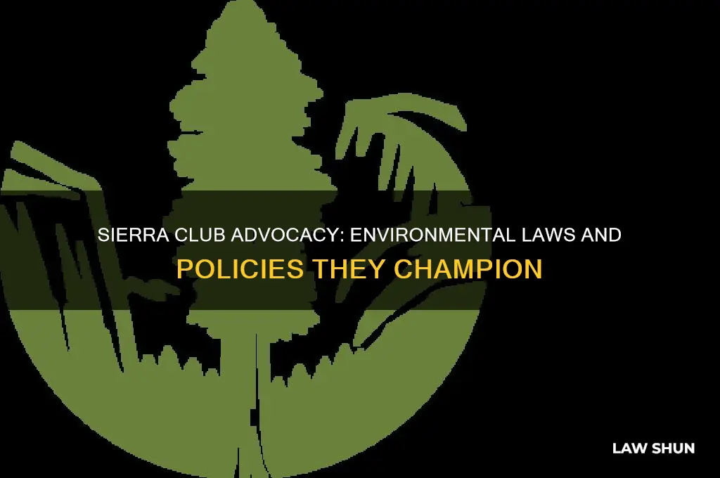 what type of laws would the sierra club lobby for
