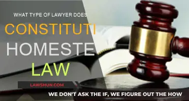 Homestead Law: What Type of Lawyer Do You Need?