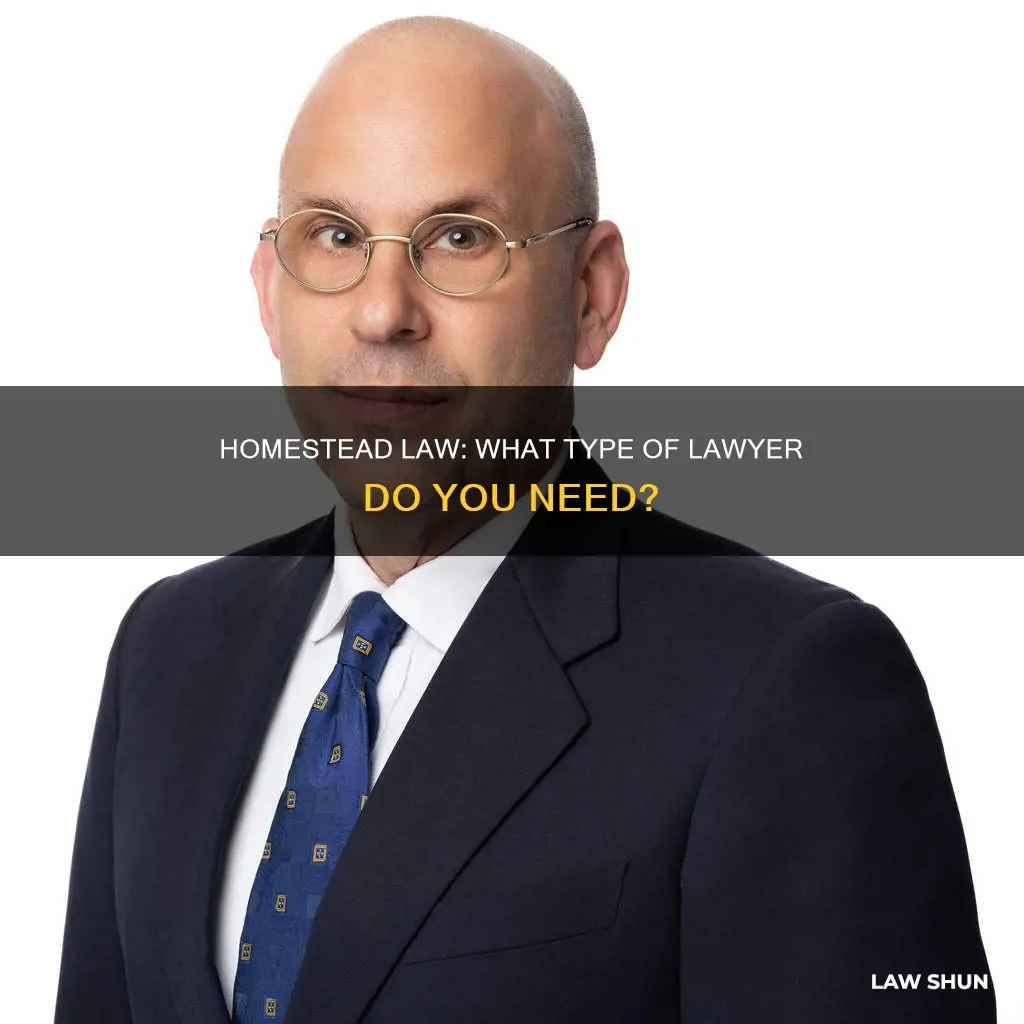 what type of lawyer does constitutional homestead law