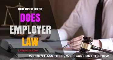 Understanding Employer Law: Which Legal Expert Handles Workplace Issues?