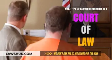 Understanding Courtroom Representation: Which Lawyer Handles Your Legal Case?