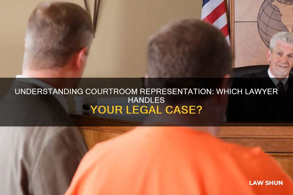 what type of lawyer represents in a court of law