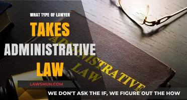 Who Handles Administrative Law Cases? Understanding the Right Lawyer