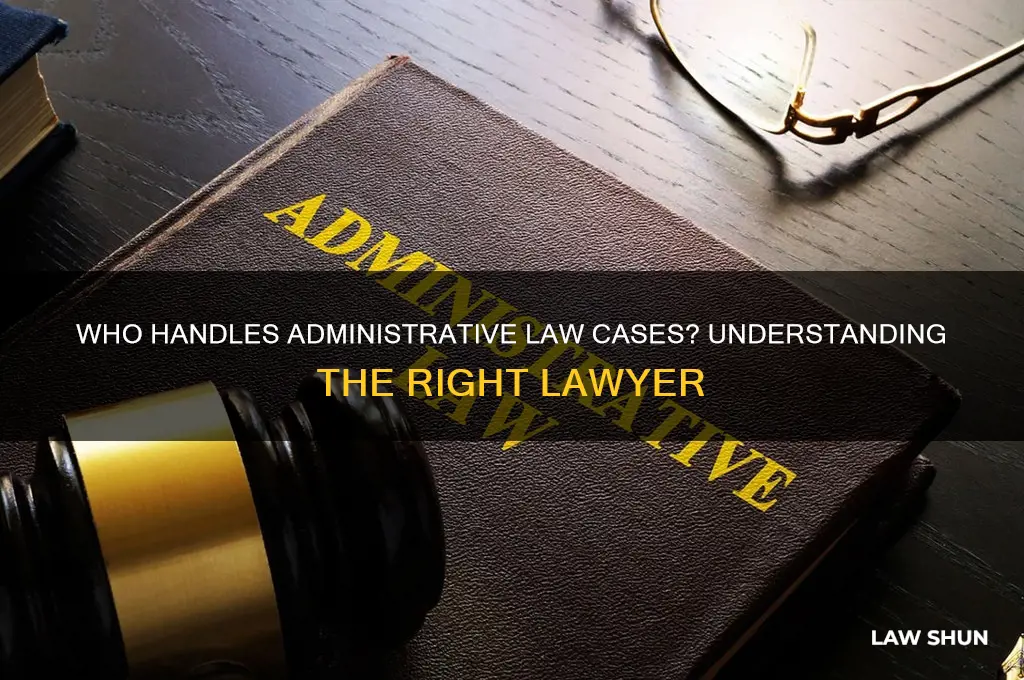 what type of lawyer takes administrative law