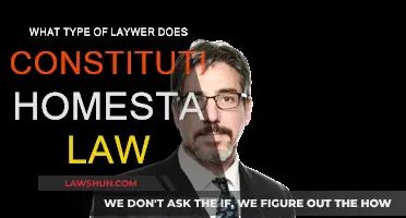 Homestead Law: What Type of Lawyer Do You Need?