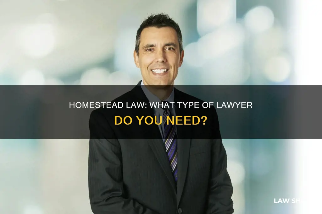 what type of laywer does constitutional homestaed law