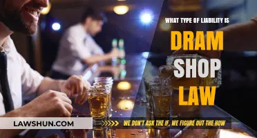Understanding Dram Shop Law Liability: Types and Implications Explained