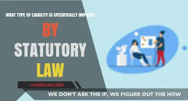 Understanding Statutory Liability: Legal Obligations Imposed by Law