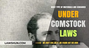 Comstock Laws: Censored Materials and Their Impact on Society