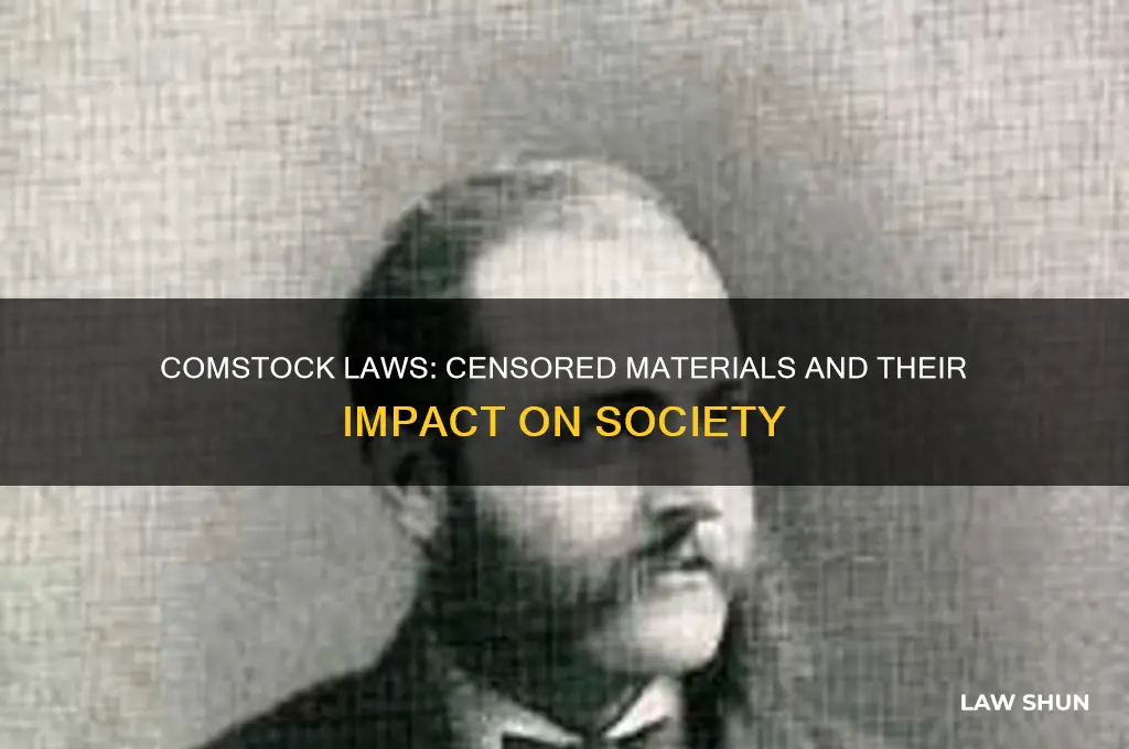 what type of materials are censored under comstock laws