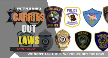 Understanding Law Enforcement: Agencies Responsible for Carrying Out Laws