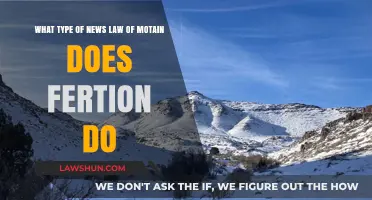Understanding Fertion's Legal Framework: The Law of Motain in Action