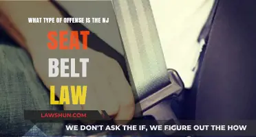 Understanding NJ Seat Belt Law: Offense Type and Legal Implications