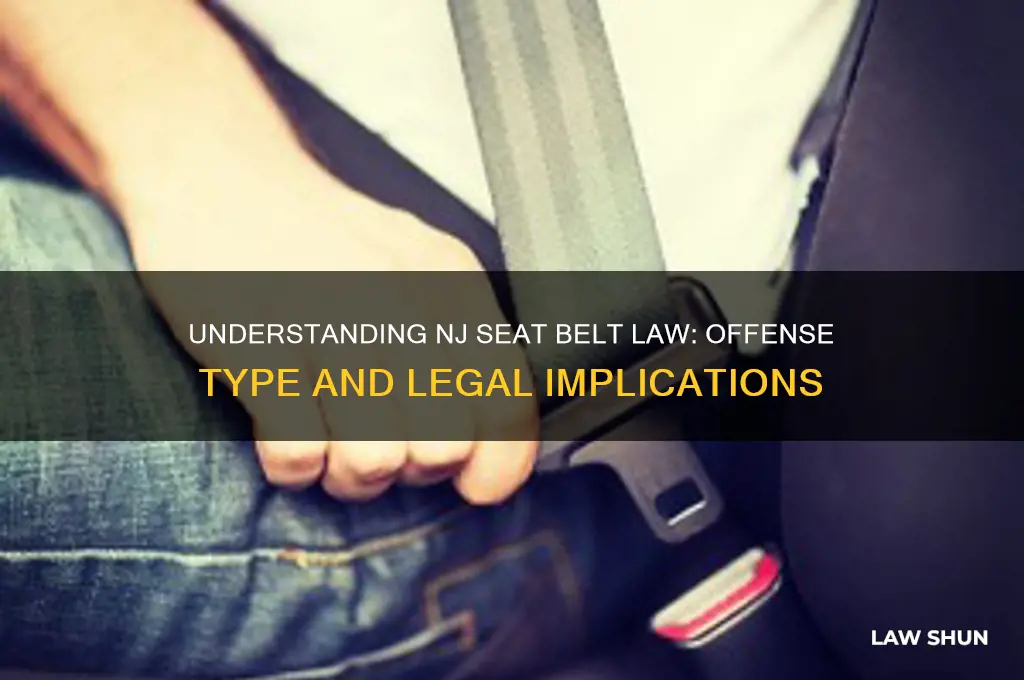 what type of offense is the nj seat belt law