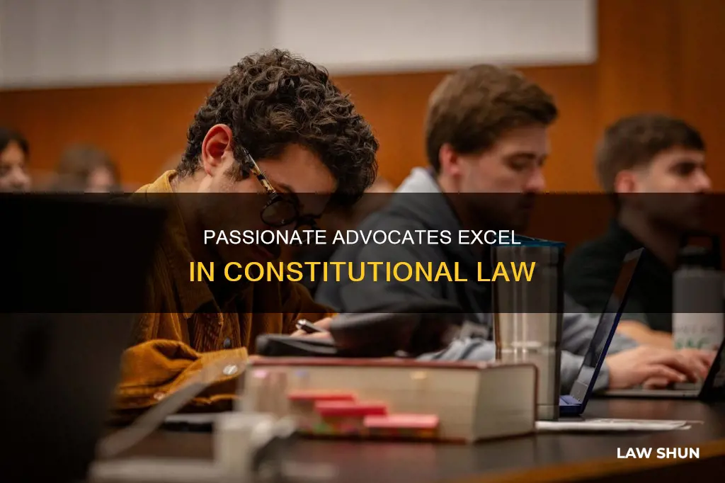 what type of people do well in constitutional law