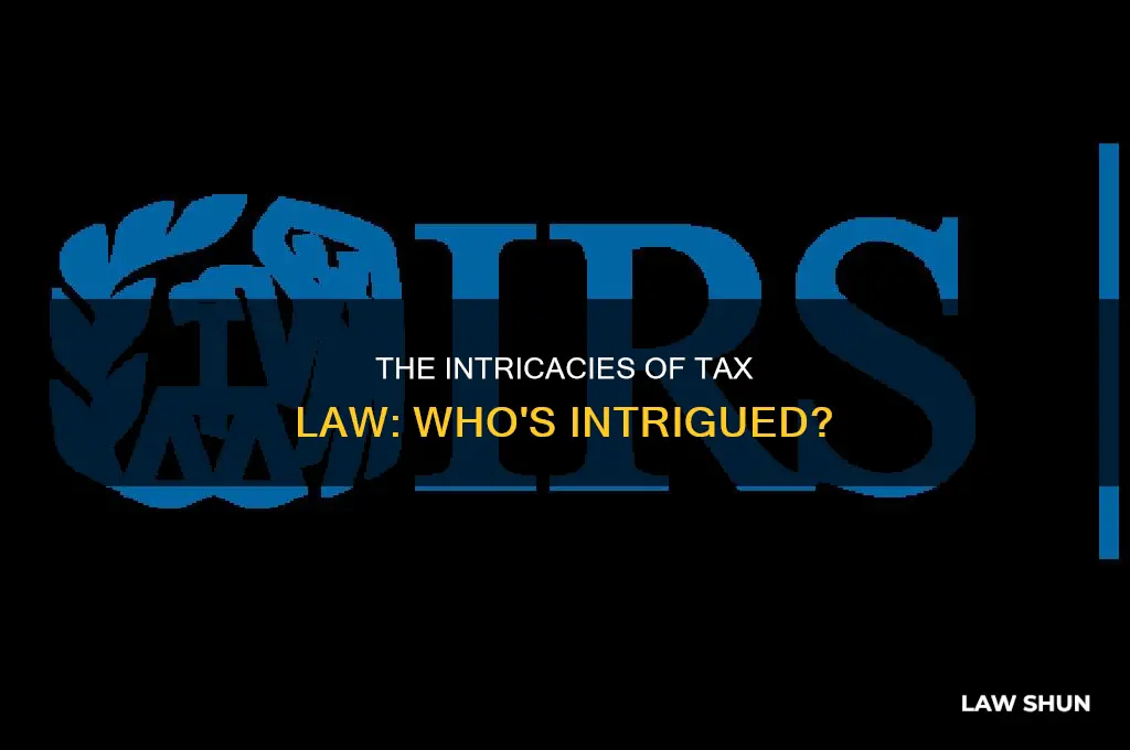 what type of person like tax law