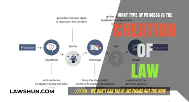 Understanding the Complex Process Behind Creating and Enacting Laws