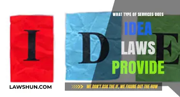 Understanding IDEA Laws: Services and Support for Students with Disabilities