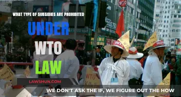 WTO Prohibited Subsidies: Understanding the Legal Boundaries and Restrictions