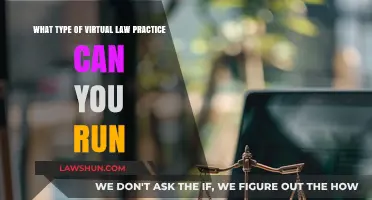 Virtual Law: Running a Practice Online