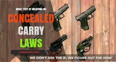 Concealed Carry Laws: Understanding Permitted Weapons for Self-Defense