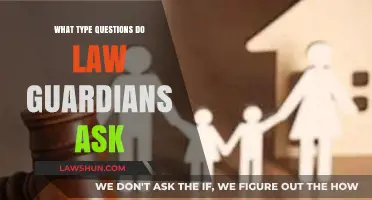What Questions Do Law Guardians Ask? A Comprehensive Guide