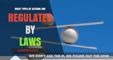 Understanding Legal Boundaries: Exploring Actions Governed by Laws and Regulations