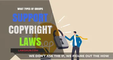 Who Backs Copyright Laws? Exploring Key Groups and Their Interests