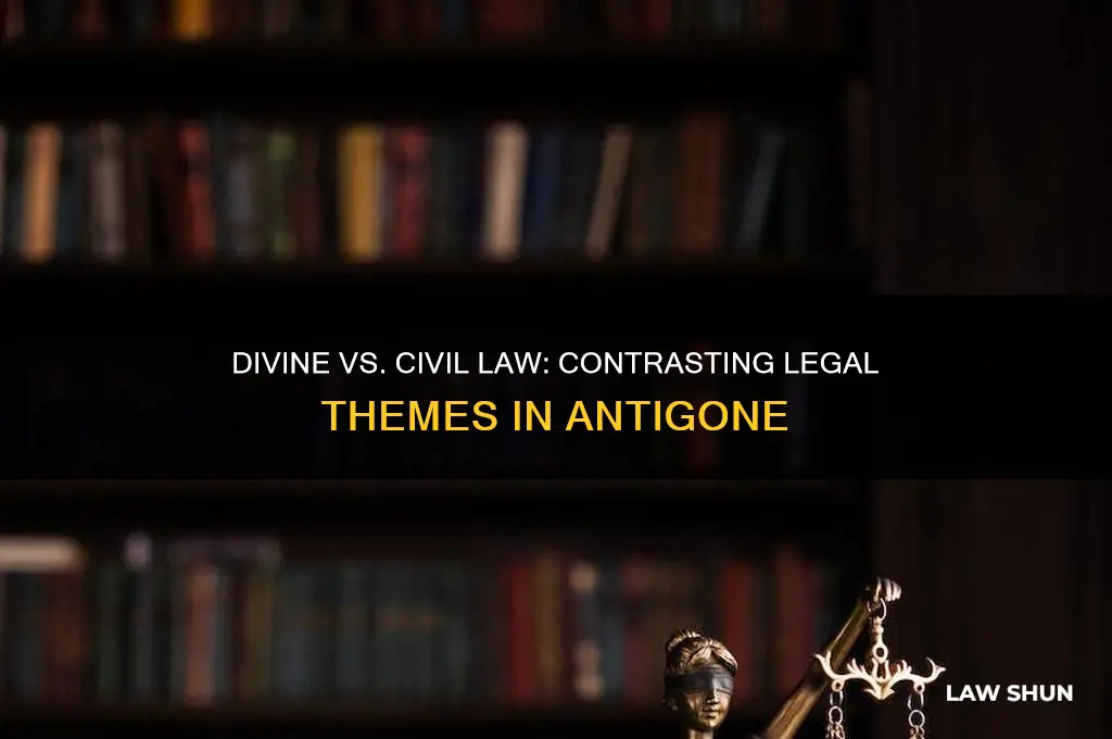 what types of law are contrasted in antigone
