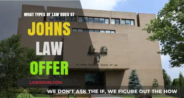 Exploring Diverse Legal Fields: St. John's Law Program Offerings