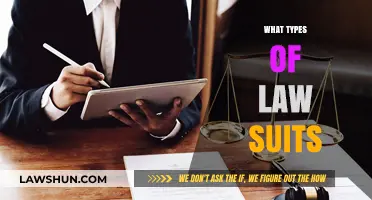 Understanding Different Types of Lawsuits: A Comprehensive Legal Guide