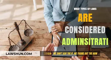Understanding Administrative Laws: Types and Their Key Functions Explained