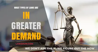 Emerging Legal Fields: High-Demand Laws Shaping the Future of Practice