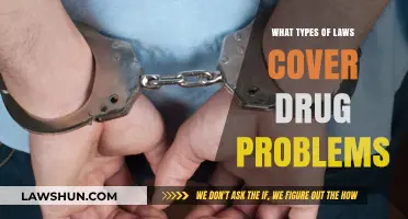 Understanding Legal Frameworks: Laws Addressing Drug Issues and Consequences