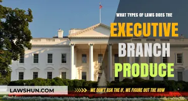 Executive Branch Lawmaking: Understanding the Types of Laws Produced