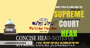 Understanding the Supreme Court's Jurisdiction: Key Cases and Legal Areas